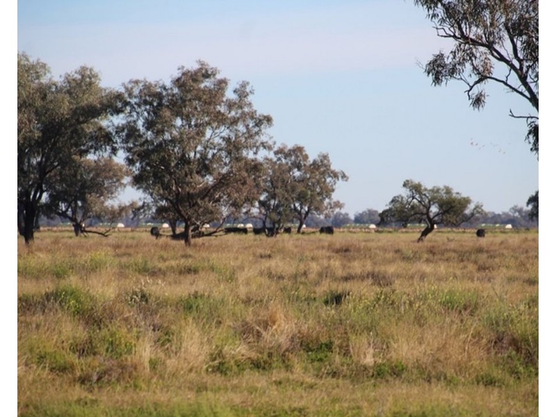 1075 MIDDLE ROUTE ROAD “FOREST LODGE”, Merah North NSW 2388