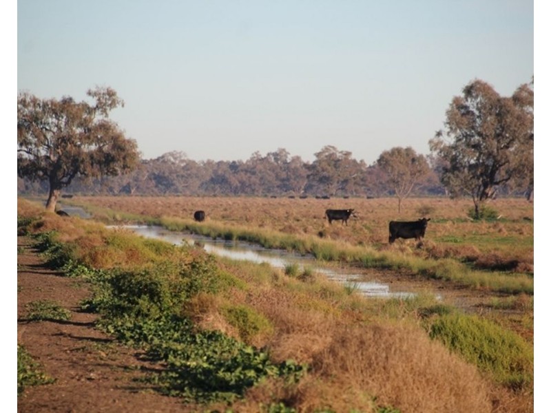 1075 MIDDLE ROUTE ROAD “FOREST LODGE”, Merah North NSW 2388