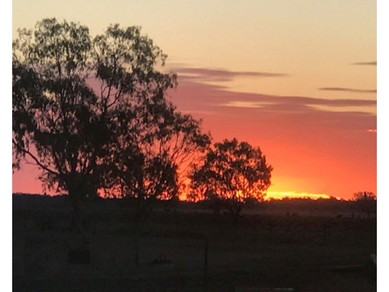 1075 MIDDLE ROUTE ROAD “FOREST LODGE”, Merah North NSW 2388