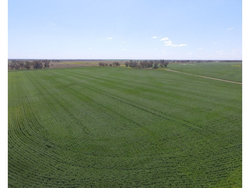 1075 MIDDLE ROUTE ROAD “FOREST LODGE”, Merah North NSW 2388