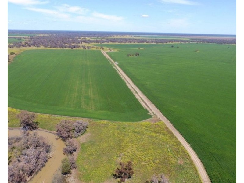 1075 MIDDLE ROUTE ROAD “FOREST LODGE”, Merah North NSW 2388