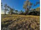 Milray Pocket, Bendygleet Road, Moree NSW 2400