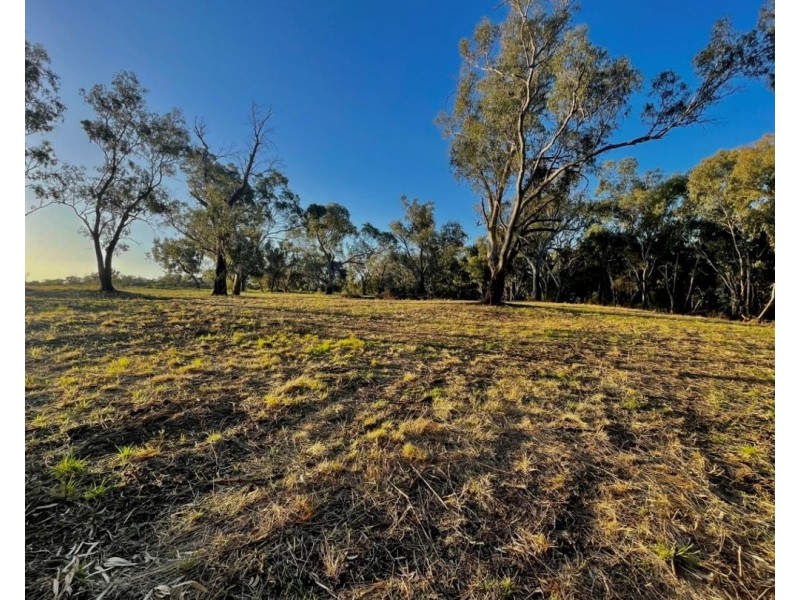 Milray Pocket, Bendygleet Road, Moree NSW 2400