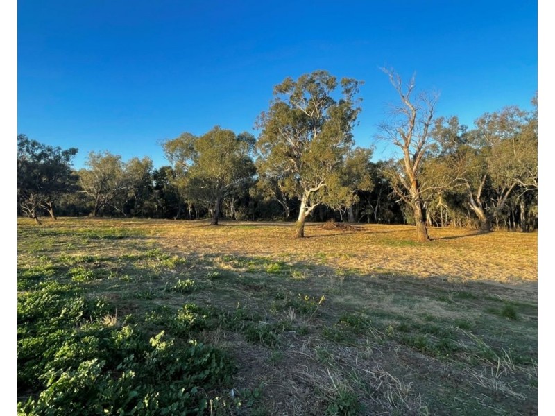 Milray Pocket, Bendygleet Road, Moree NSW 2400