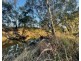 Milray Pocket, Bendygleet Road, Moree NSW 2400