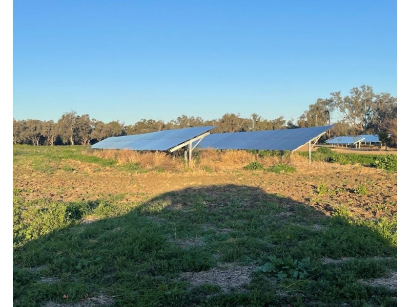 Milray Pocket, Bendygleet Road, Moree NSW 2400