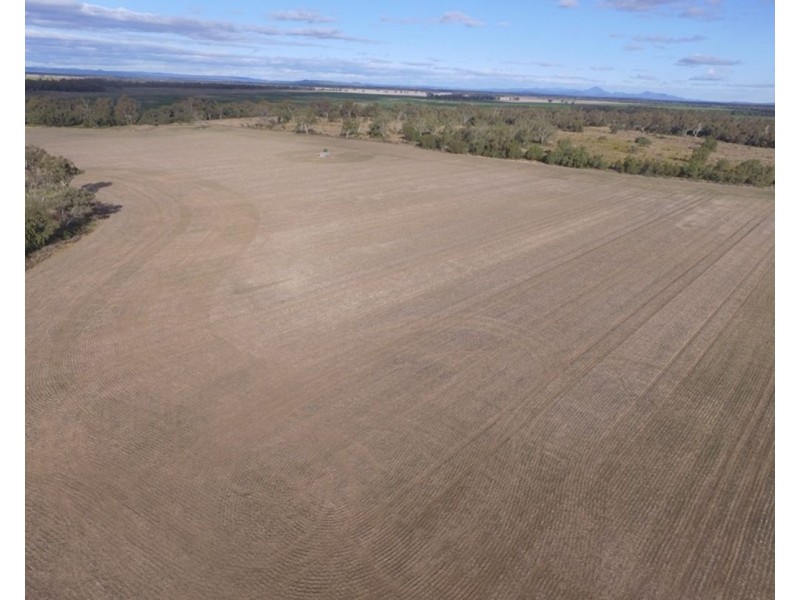 Welcannah, Moree NSW 2400