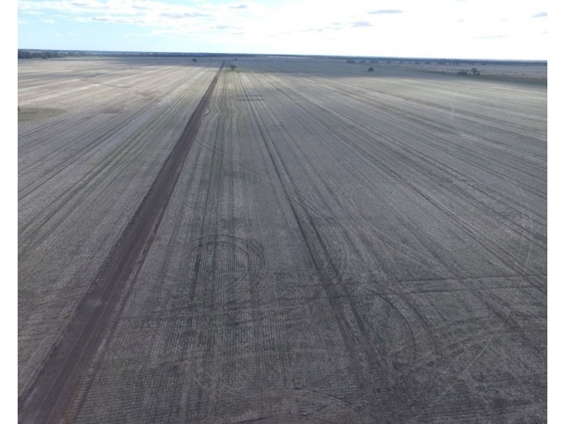 Welcannah, Moree NSW 2400