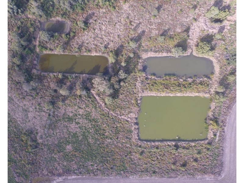 Welcannah, Moree NSW 2400