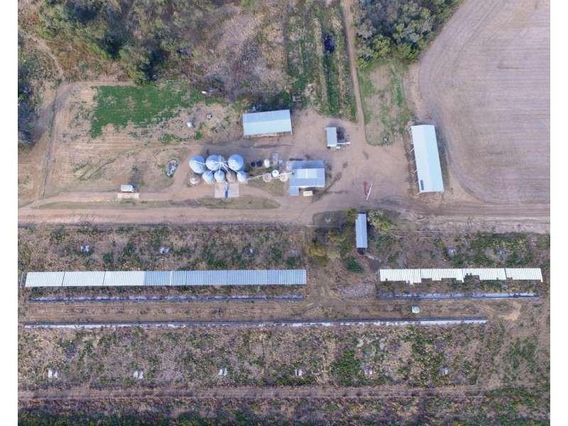 Welcannah, Moree NSW 2400