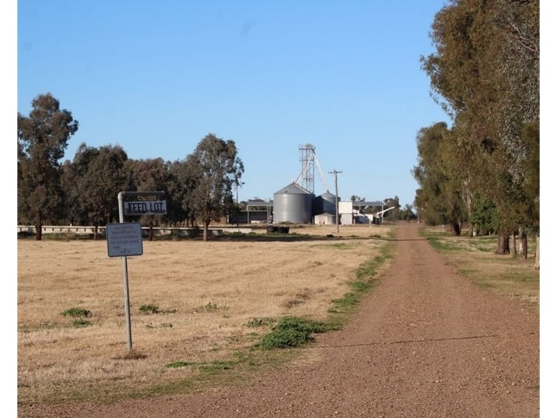Welcannah, Moree NSW 2400