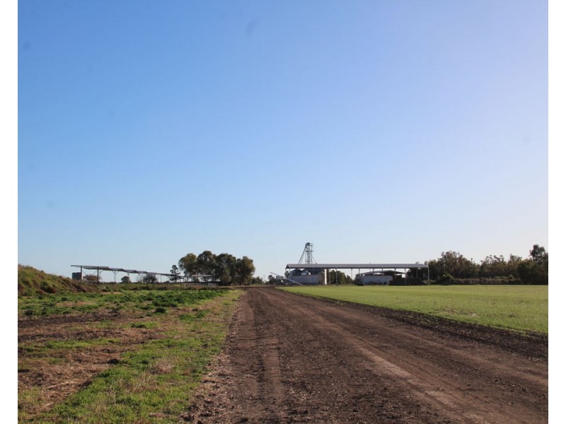 Welcannah, Moree NSW 2400