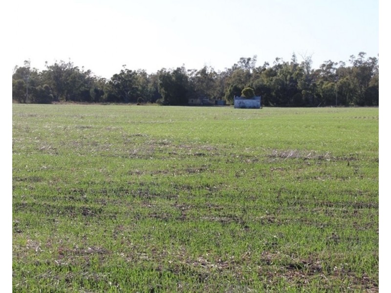 Welcannah, Moree NSW 2400