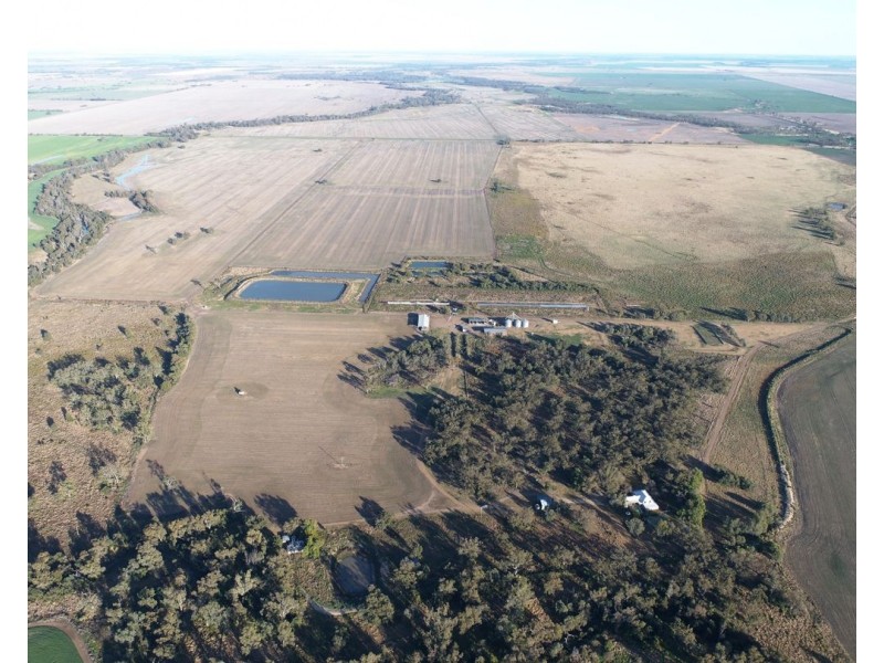 Welcannah, Moree NSW 2400