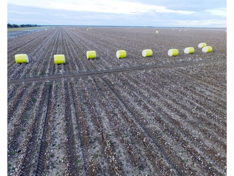 CHELSEA, Garah NSW 2405