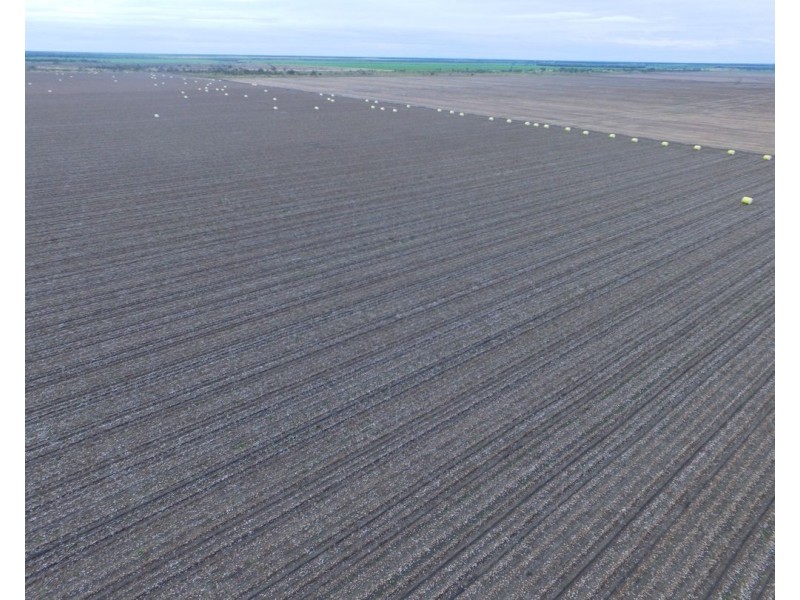 CHELSEA, Garah NSW 2405