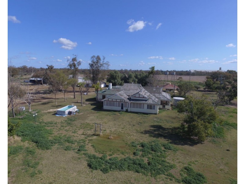 CHELSEA, Garah NSW 2405