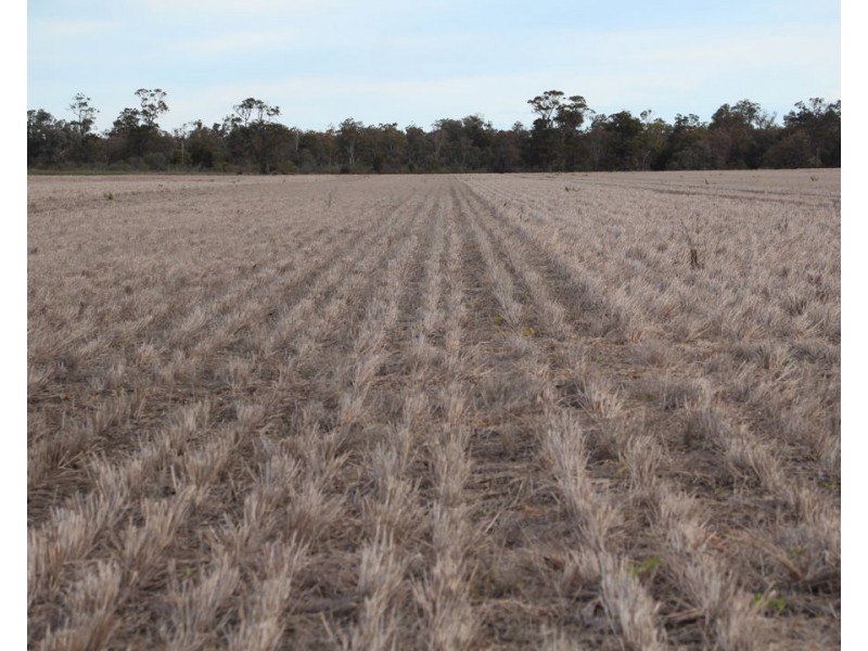 CHELSEA, Garah NSW 2405