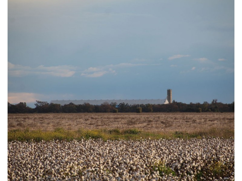 CHELSEA, Garah NSW 2405