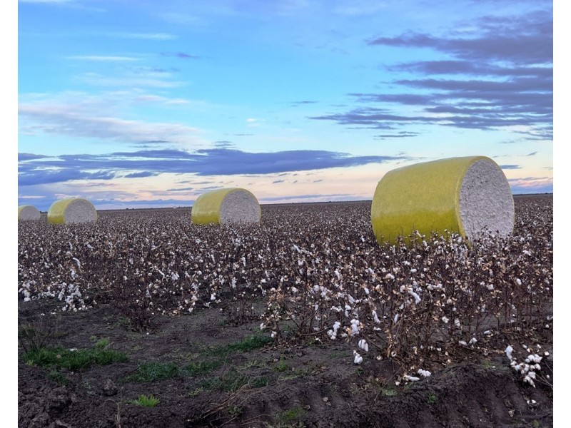 CHELSEA, Garah NSW 2405