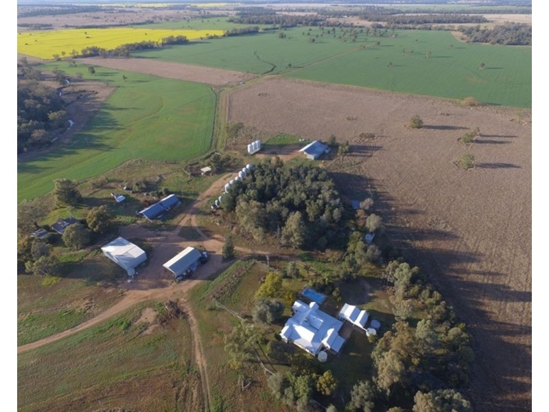 607 Fairfield Road, Boggabri NSW 2382