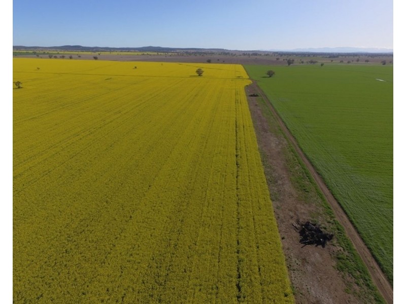 607 Fairfield Road, Boggabri NSW 2382