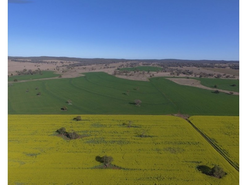 607 Fairfield Road, Boggabri NSW 2382