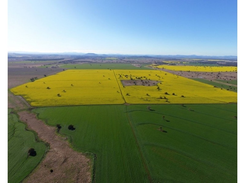 607 Fairfield Road, Boggabri NSW 2382