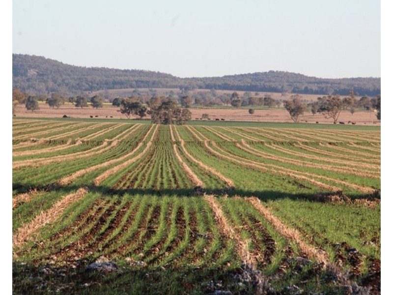 607 Fairfield Road, Boggabri NSW 2382