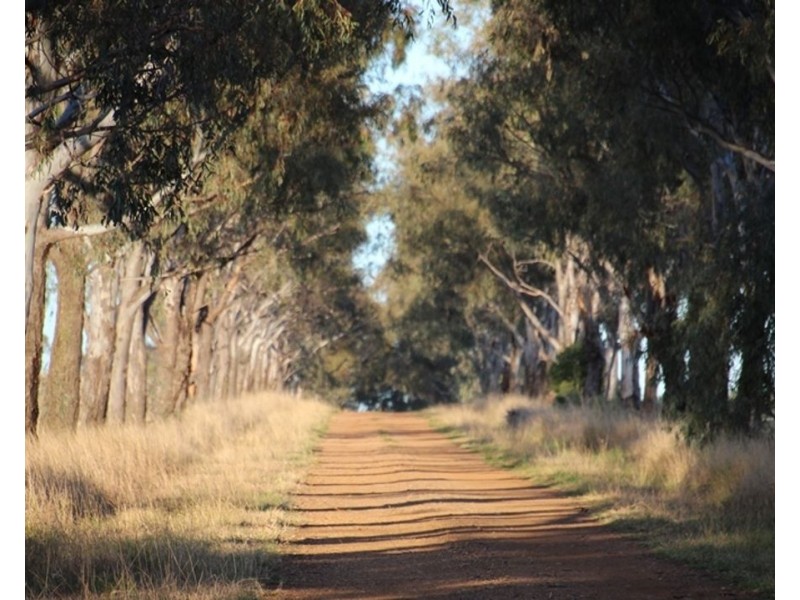 607 Fairfield Road, Boggabri NSW 2382