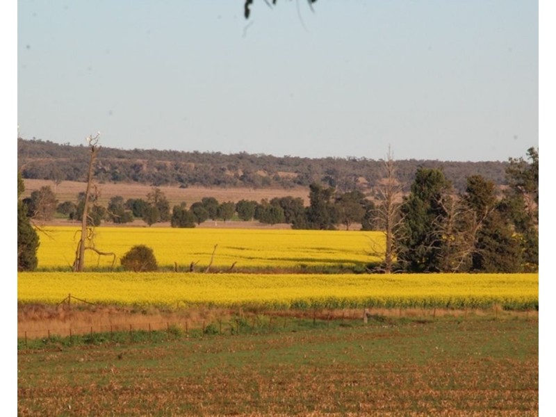 607 Fairfield Road, Boggabri NSW 2382