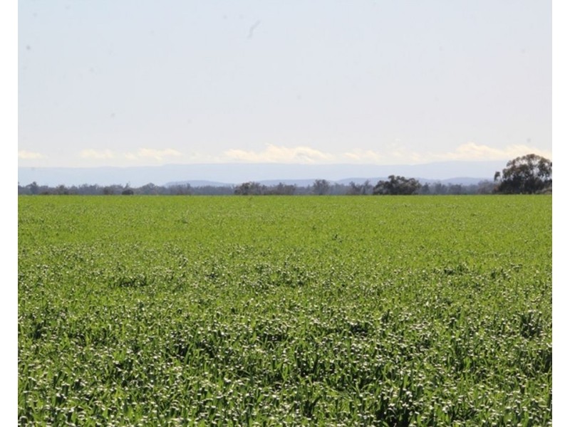 607 Fairfield Road, Boggabri NSW 2382