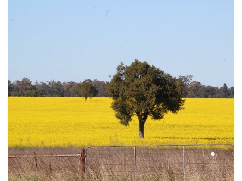 607 Fairfield Road, Boggabri NSW 2382