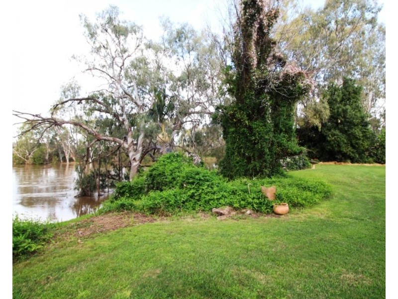 Lone Oak, Moree NSW 2400