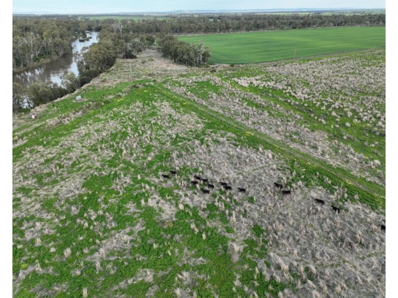 Lone Oak, Moree NSW 2400