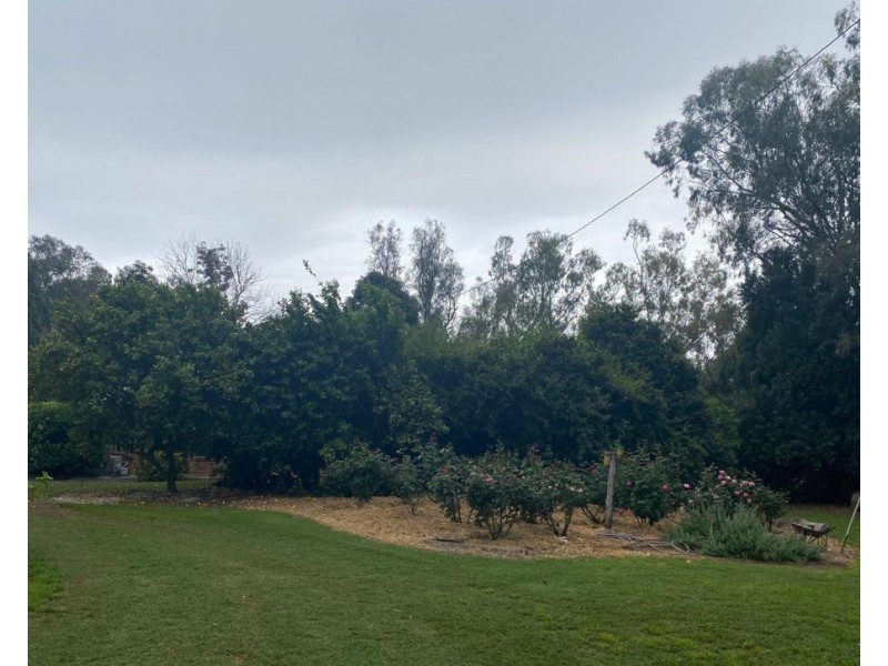 Lone Oak, Moree NSW 2400