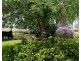 Lone Oak, Moree NSW 2400