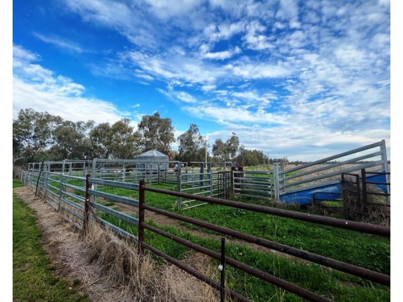 Lone Oak, Moree NSW 2400