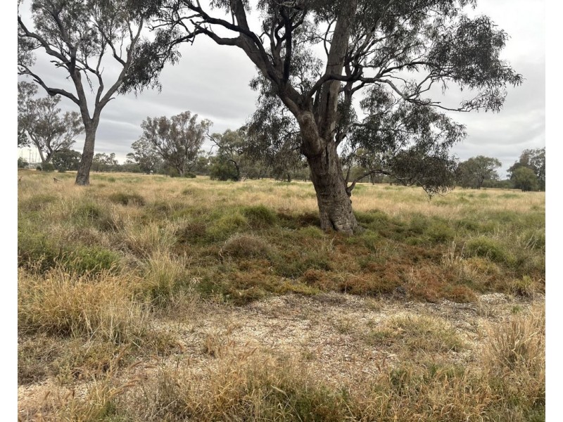 Lot 92 Castlereagh Highway, Walgett NSW 2832