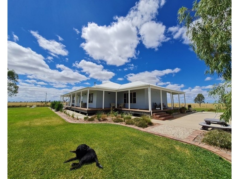 344 Burrington Road, Moree NSW 2400