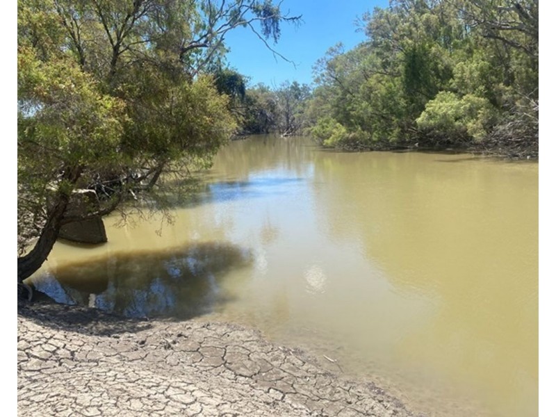 Boronga, Boomi NSW 2405