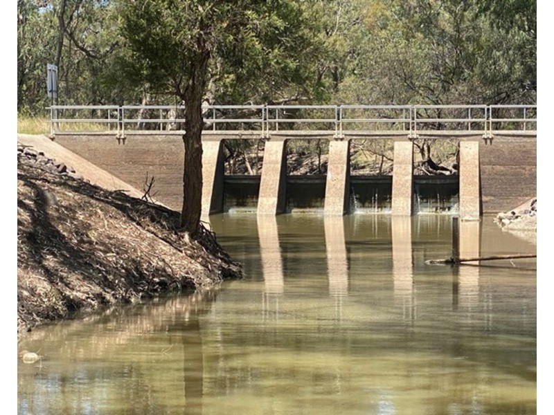 Boronga, Boomi NSW 2405