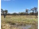 Boronga, Boomi NSW 2405