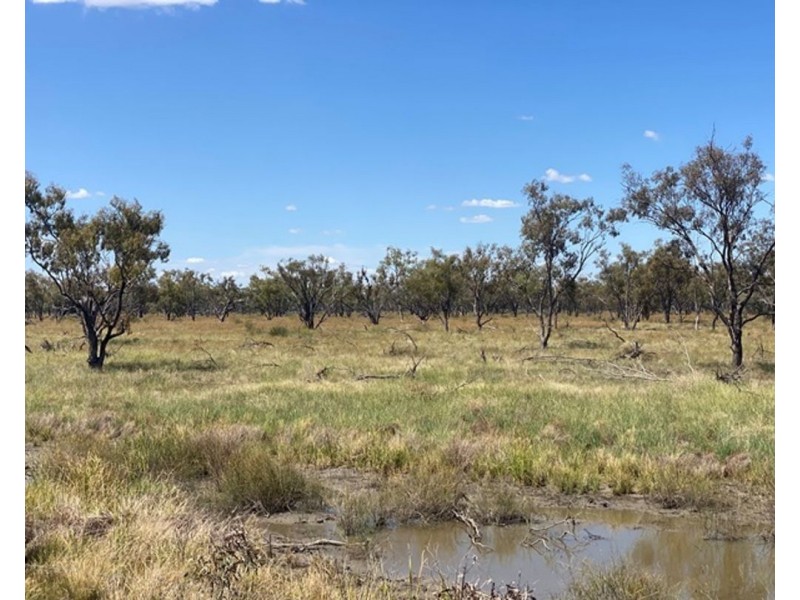 Boronga, Boomi NSW 2405