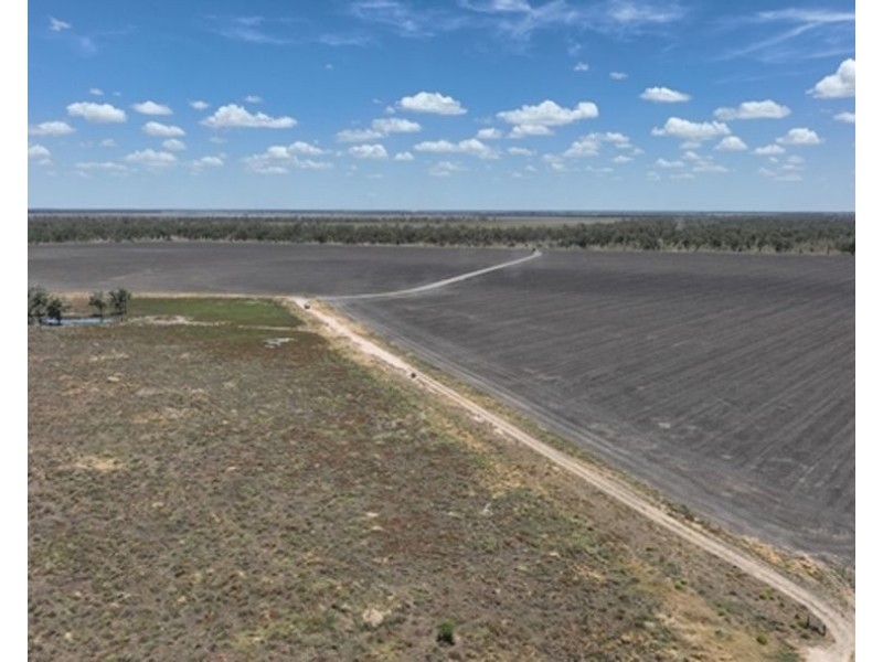 Boronga, Boomi NSW 2405