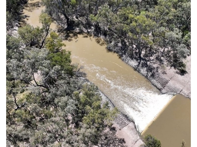 Boronga, Boomi NSW 2405
