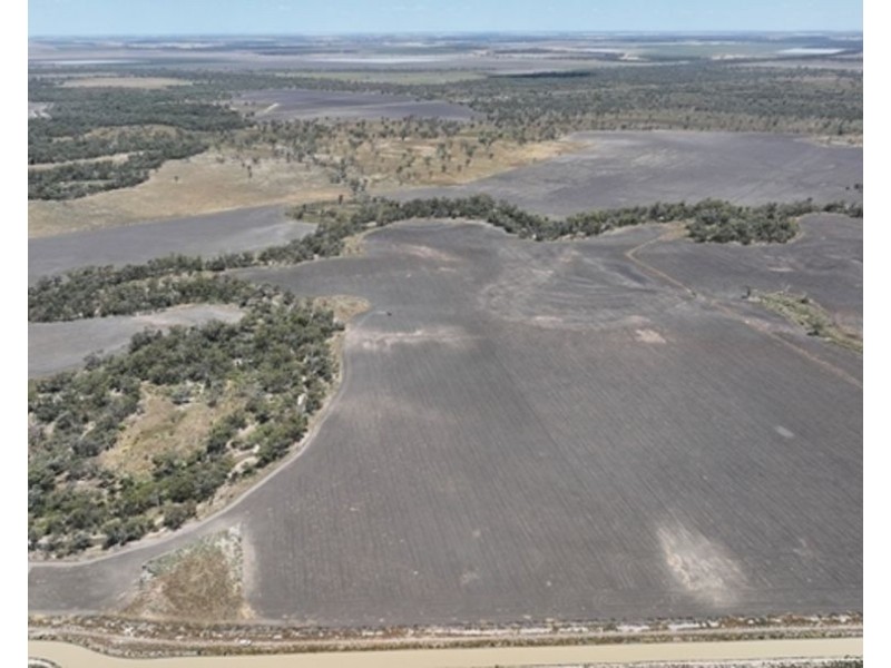 Boronga, Boomi NSW 2405