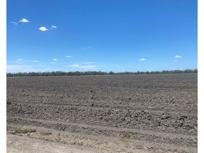 Boronga, Boomi NSW 2405