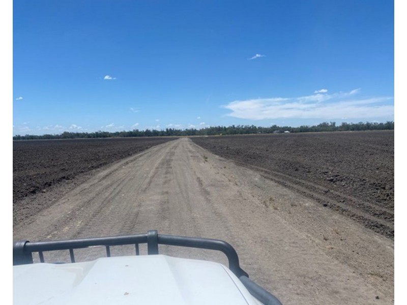 Boronga, Boomi NSW 2405
