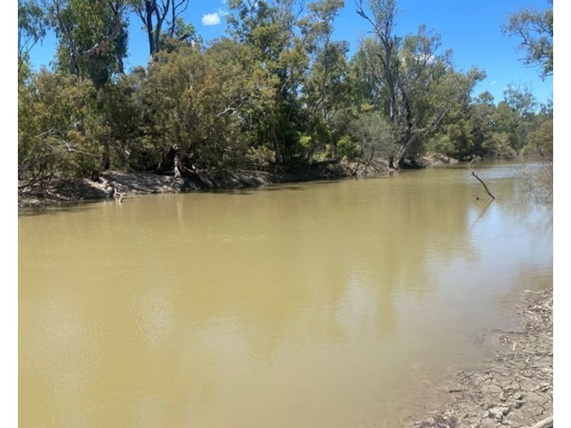 Boronga, Boomi NSW 2405
